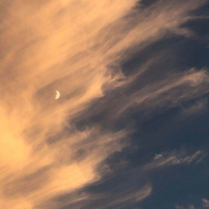 上饶机械设备生产厂家用小鹿营销导航
